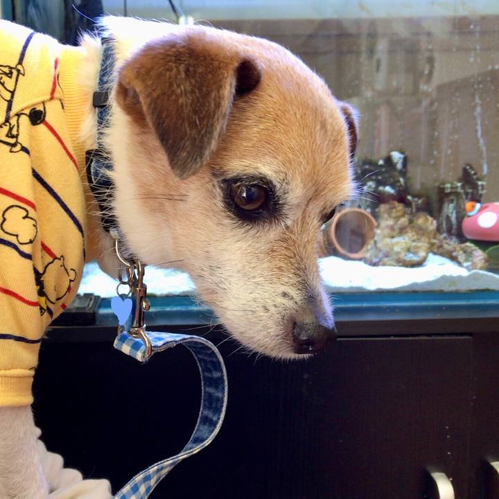 35571383 0d19 4ccd 9587 e024c643d90f 1648887895242