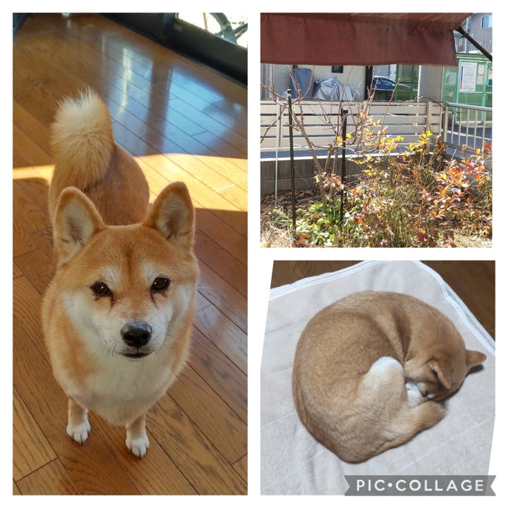 355731d3 23e3 41c9 bc43 d9562d905697 1737284297011