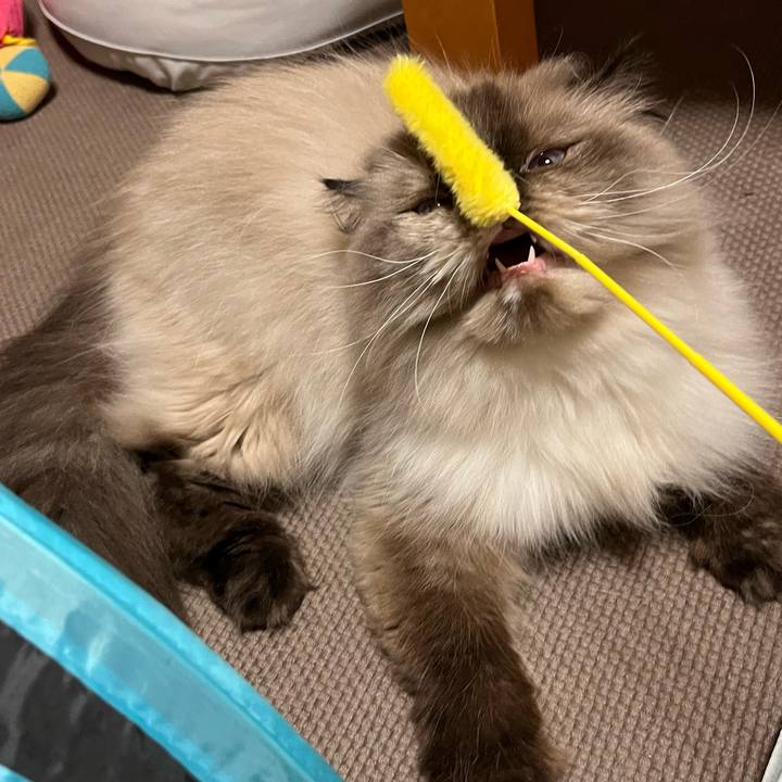 355735af caf7 4c68 a0c5 aafb942a1774 1693226719644