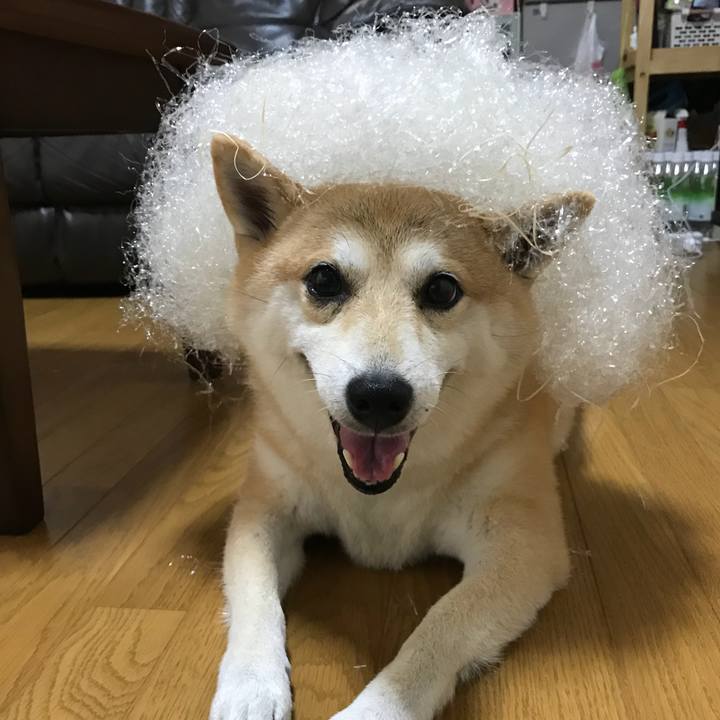 35576b2f e3d2 4b6a b42e 34ec43cec0de 1534416405754