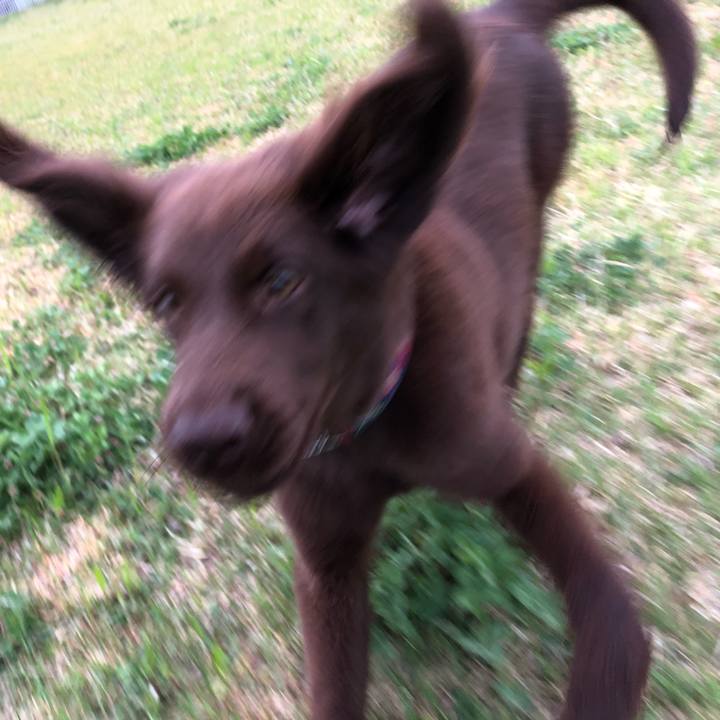 35579ea9 0d7b 431a 8845 b111ee498b2d 1556055877869