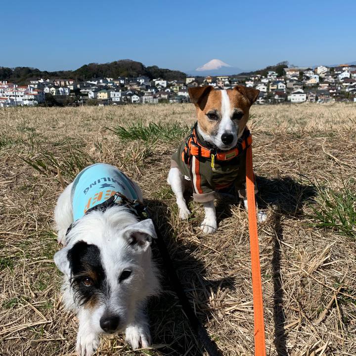 35579f30 8346 43d4 b525 d2a1ba378cd3 1583458849194