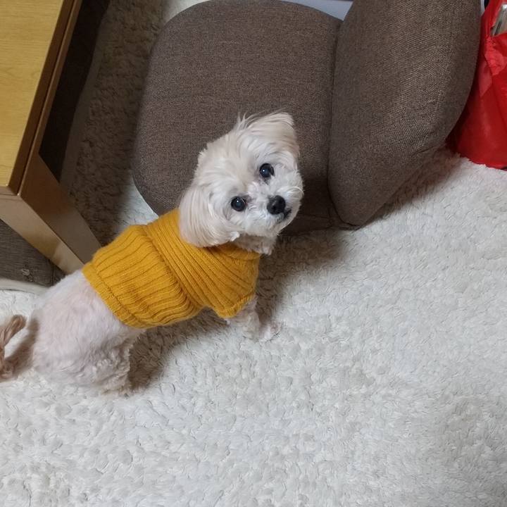 3557aa49 4765 4753 916c 1ec43ce38fd2 1613991033454