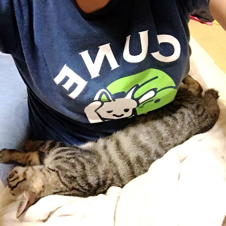 3557cc7e 0b2a 464f 9254 35a8ed9eab07 1537968223964