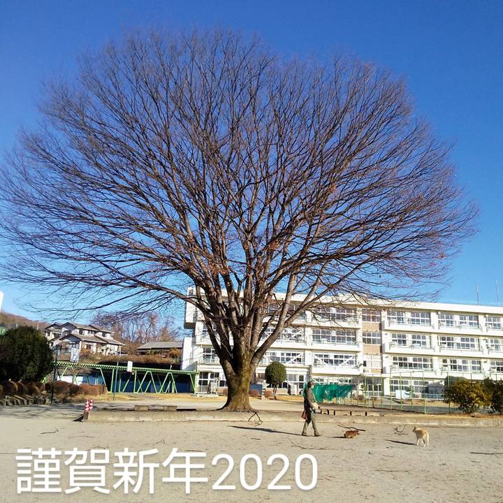 3557dc84 ee7e 4deb 8433 3c69df4b6f9b 1577841441088