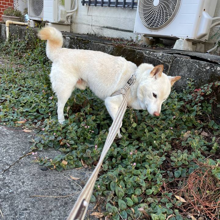 3557fab0 2e46 417a 8917 2b1e62e2d816 1634262557109