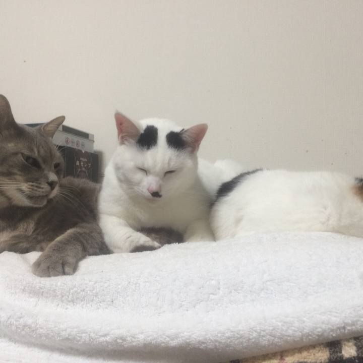 35581062 3a2a 4658 8986 61dc947efae2 1542154207928