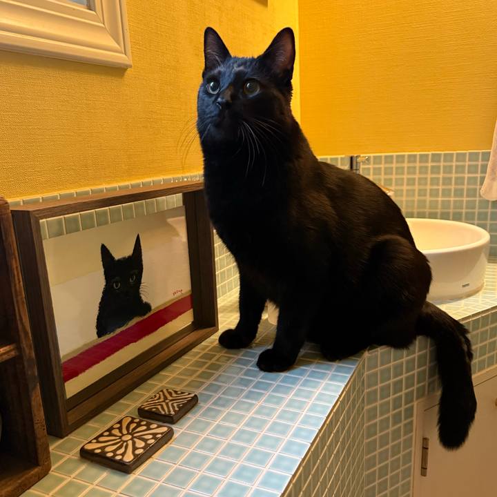 35581d4e e0e6 4e56 a8be 1135eeeb3e8c 1774736896147