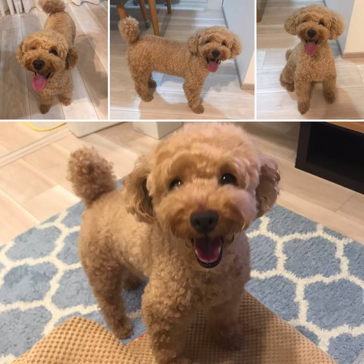 355821b1 1305 4fc9 8beb 6c22aa8fc6da 1566210434315