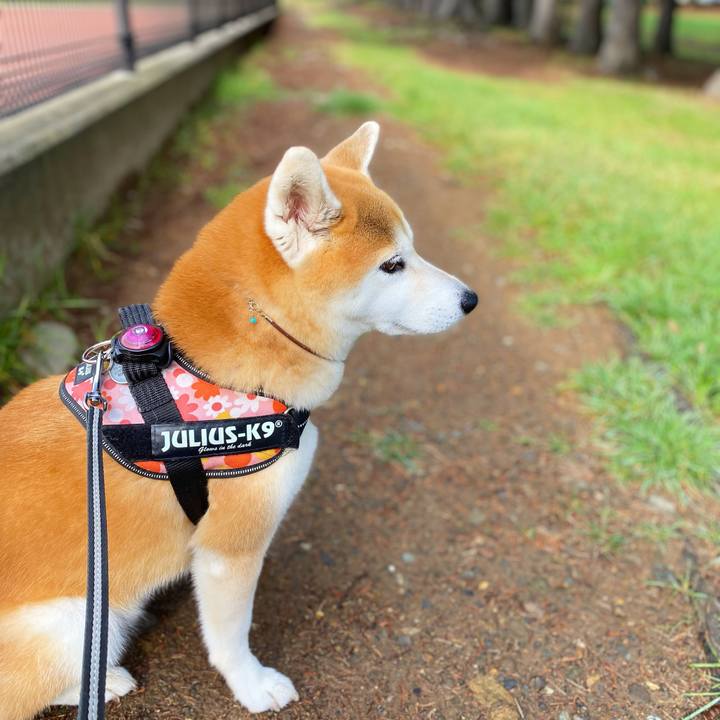 35583bed 2578 4bba a7c6 b2e3151cada0 1633049781608