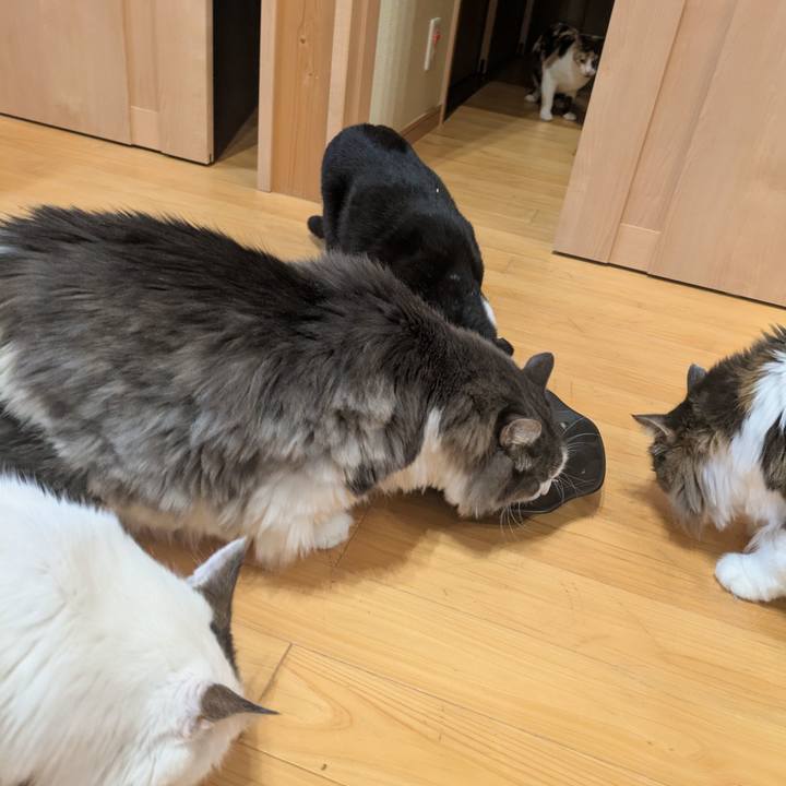 355846da 1f5b 4646 bac5 58bc1559f9a9 1758189392101