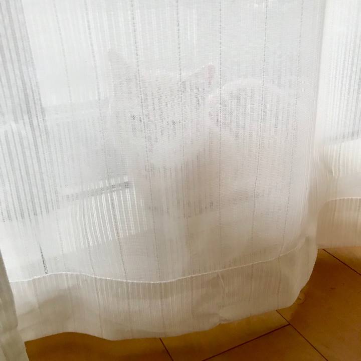 35585a29 ff7f 4795 95a6 3d0c44d3aac7 1519355276358