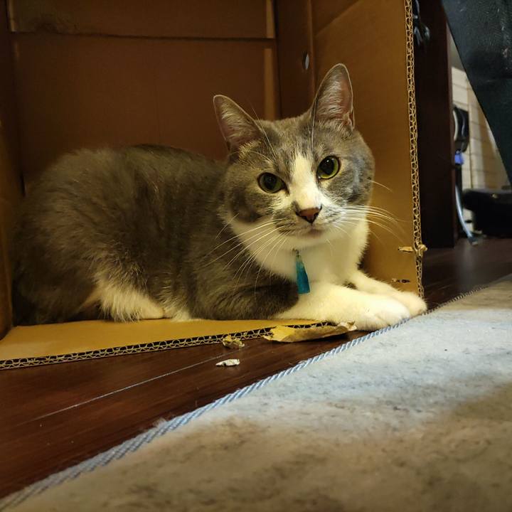 35587b48 b353 424f 8da4 9de7c200f921 1662468203907