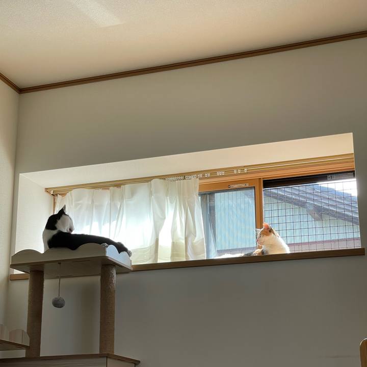 35588a06 5632 4732 83ab ff9566c6f780 1662270140128