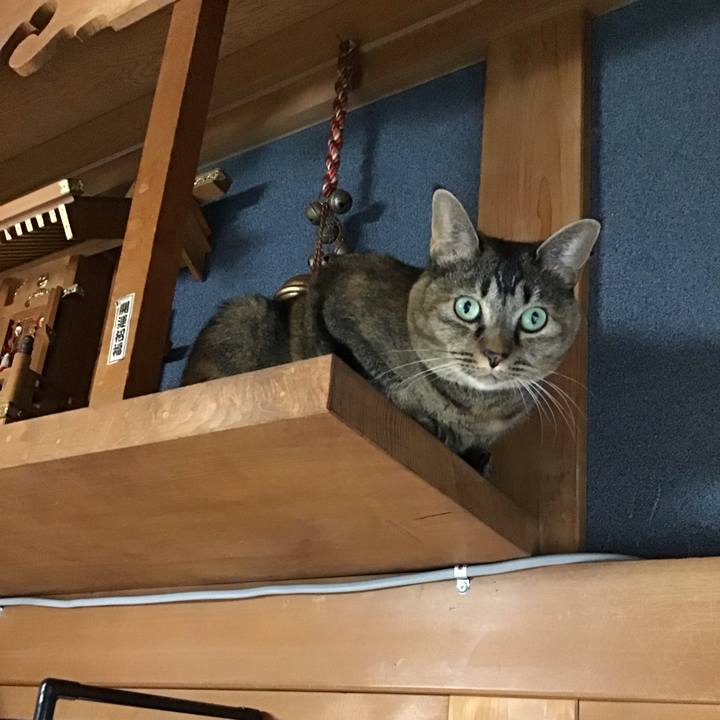 35589d03 1af2 4716 b561 1db4b04a2b2f 1760412980390