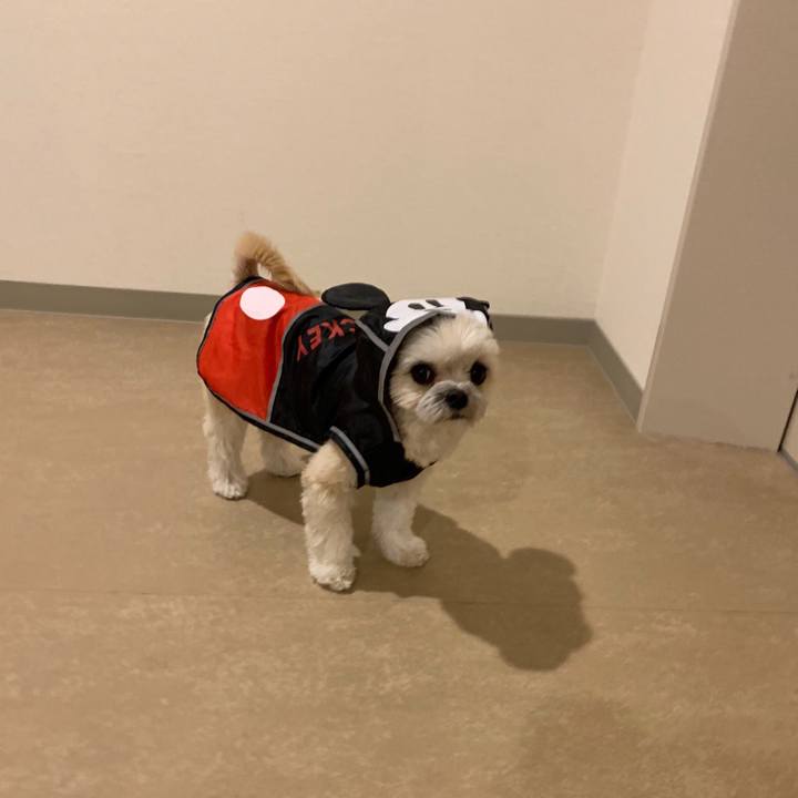 35589f34 9be1 45a9 b3da f0742458095e 1551737763756