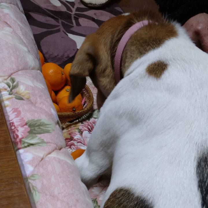 3558ea65 1103 4982 92be f8d3f326d159 1577531807459