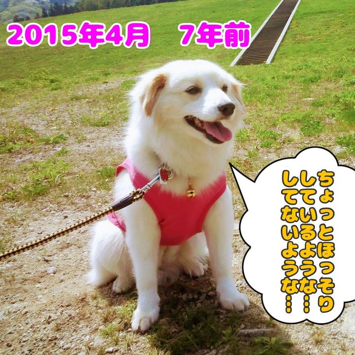 35590622 f898 447c 8cf2 3e429c34f469 1649933393847