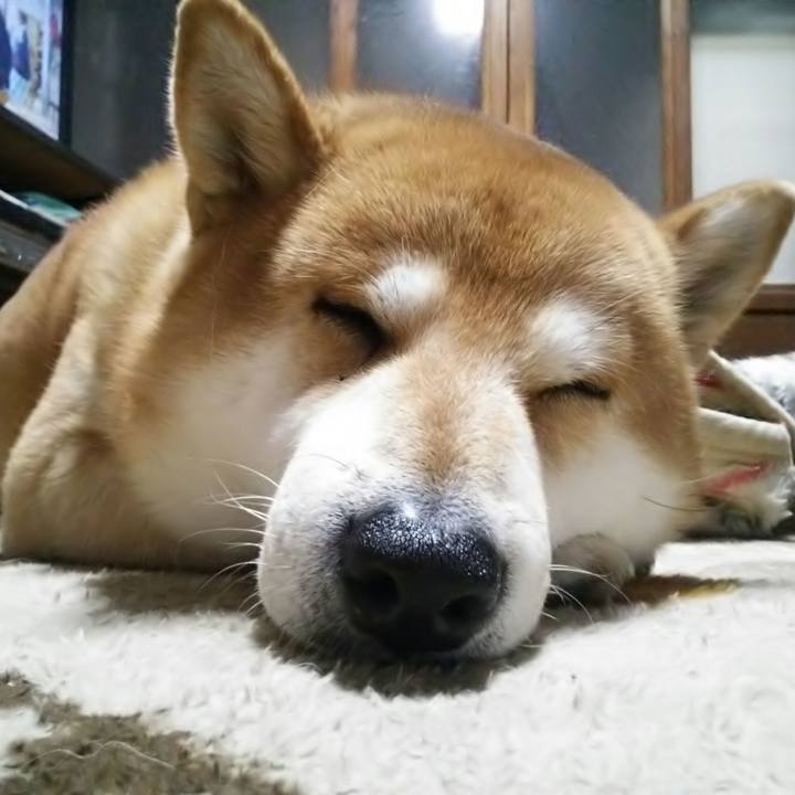 355969fd 71ea 468c 9b7e 8c0cd57fd871 1575690859564