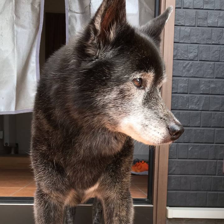 3559b314 a2c8 43fa 94d2 7439d8bedf12 1662163680715