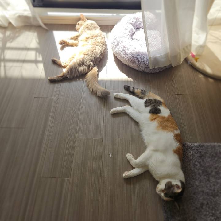 3559b5b0 ea26 4152 bb65 7b5deeed53fe 1774157661018