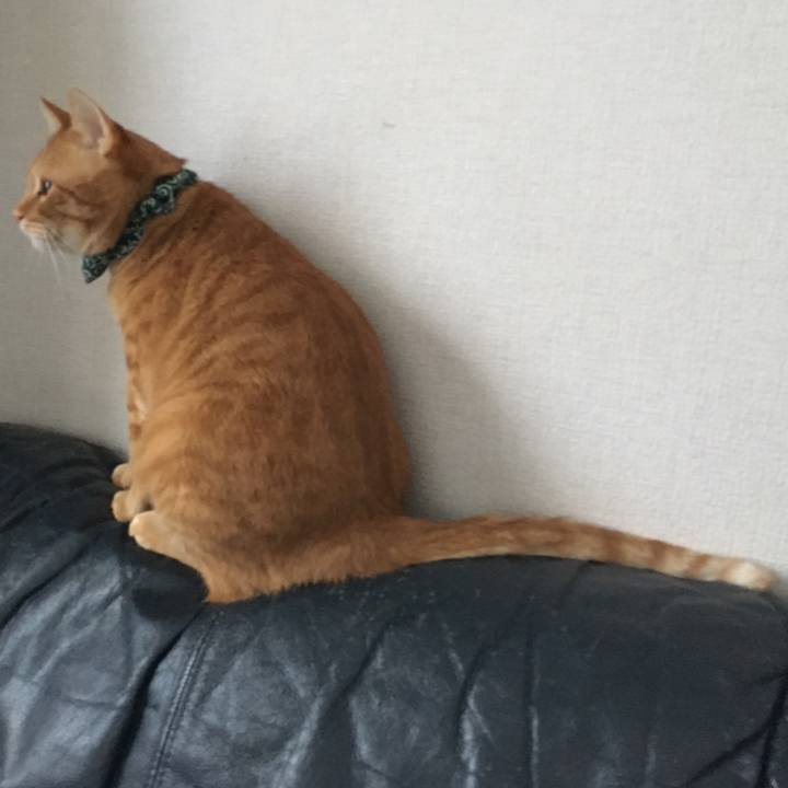 3559d3d0 7ebc 41bd 9482 0a3c0ae63aa7 1546728124071