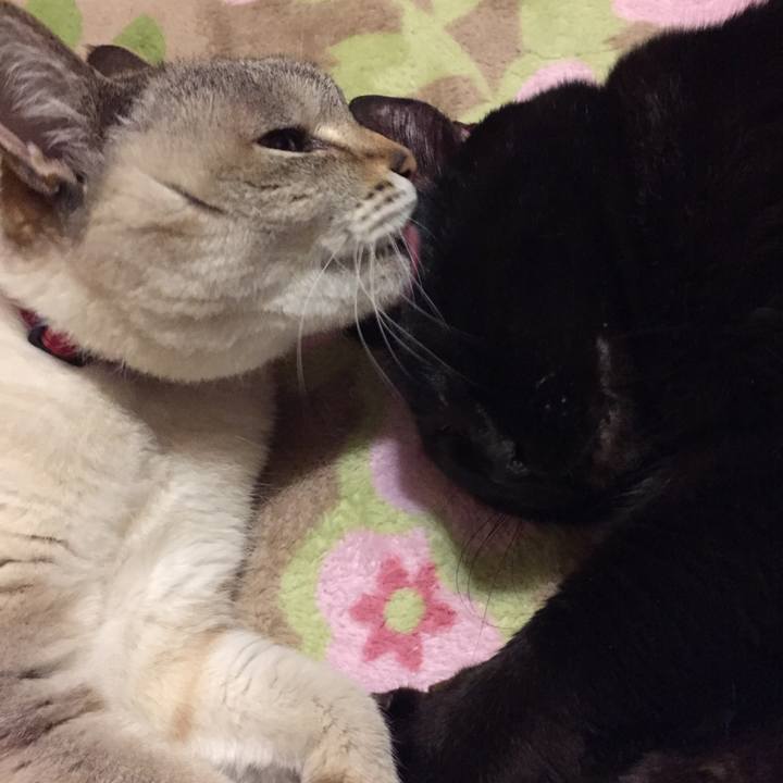 3559dbed ac16 4eff 98be effeb3f04bb7 1520507655273