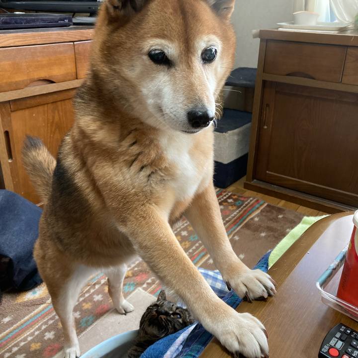 355a302b b328 49cd aef8 ca148531d1a8 1640564868045