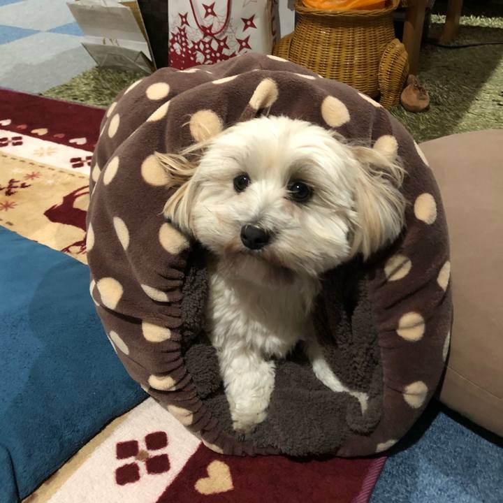 355a302c 33d6 473e b73d 74543565e9e8 1512738410012