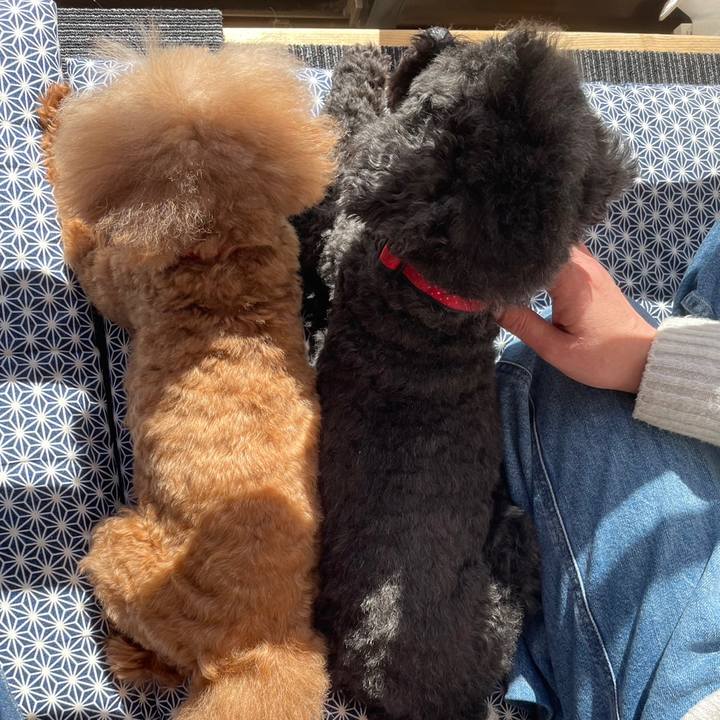 355a83f0 2cd9 4b10 801a 54973062ece3 1677289735076