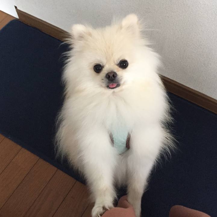 355aa38d 232c 4fe2 a2f8 4f4b26390354 1507956577497