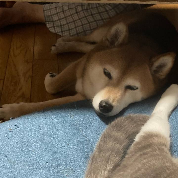 355aaff3 2892 4d9f ad65 200e339e2935 1653653928109