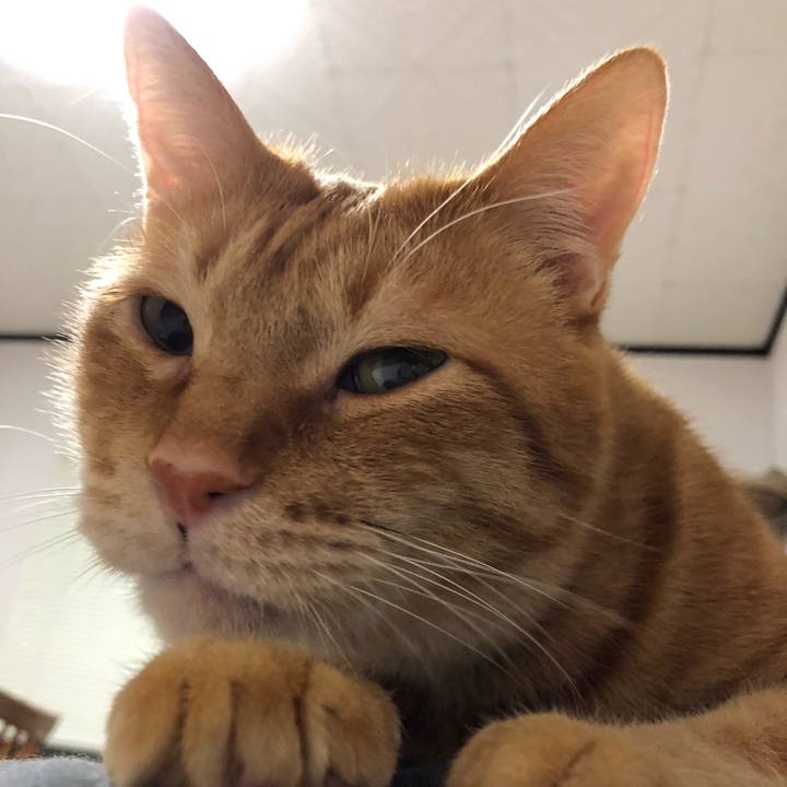 355ad256 c6cb 4f0b 87fe 8aeb4abbce7b 1611926003279