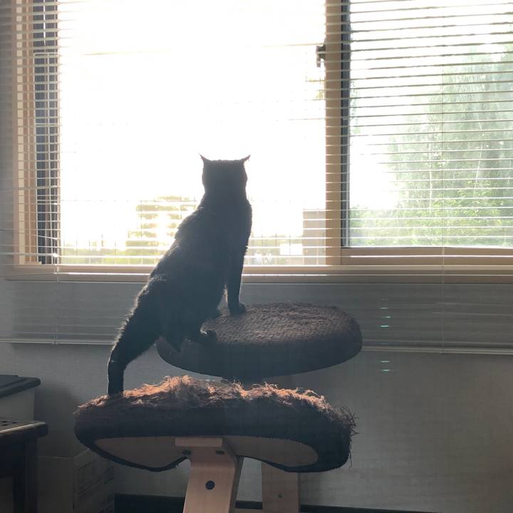 355b2d13 167d 4cc4 8ad3 efe4005d2925 1591131874936