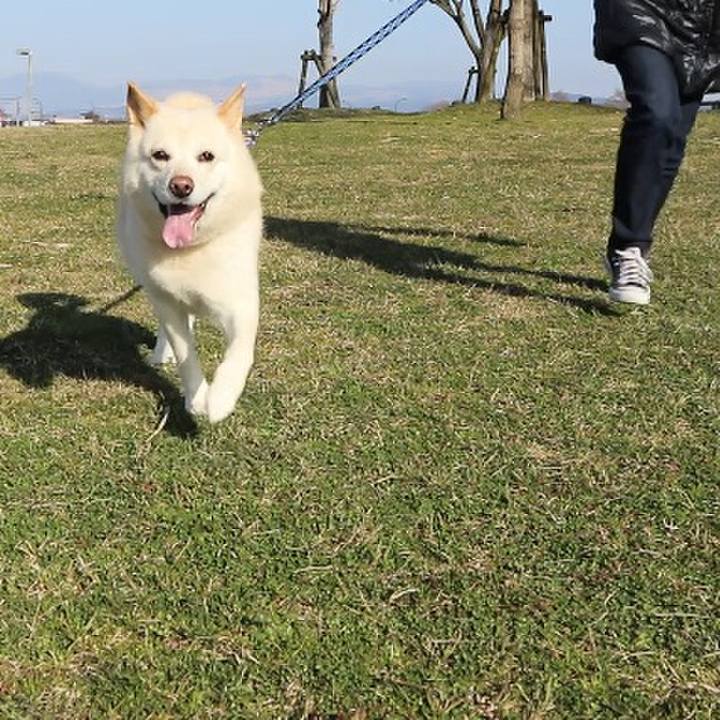 355b4a00 d8e9 4a62 9d5d b7f90f675d89 1550072856382