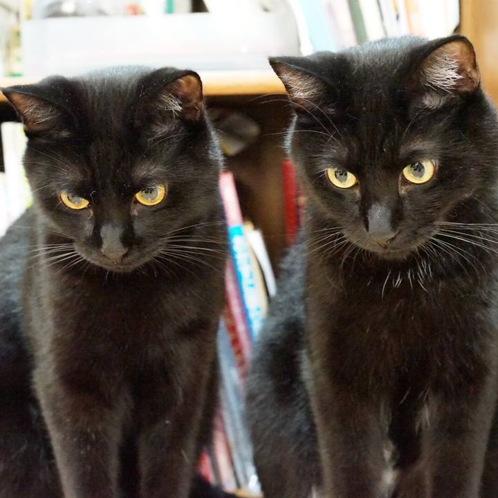 355b4b8c 0431 45a5 9011 aa91aba39a48 1536223450499