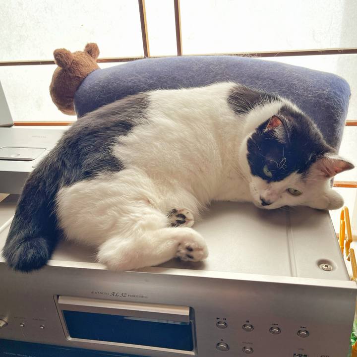 355b5c72 4464 4a68 a6d9 6ff4a1aa59b0 1754107370348