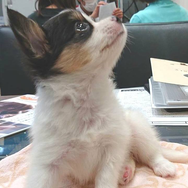 355b6e22 7dac 4f0a 91bd 0eb3ca7f6514 1593270930102