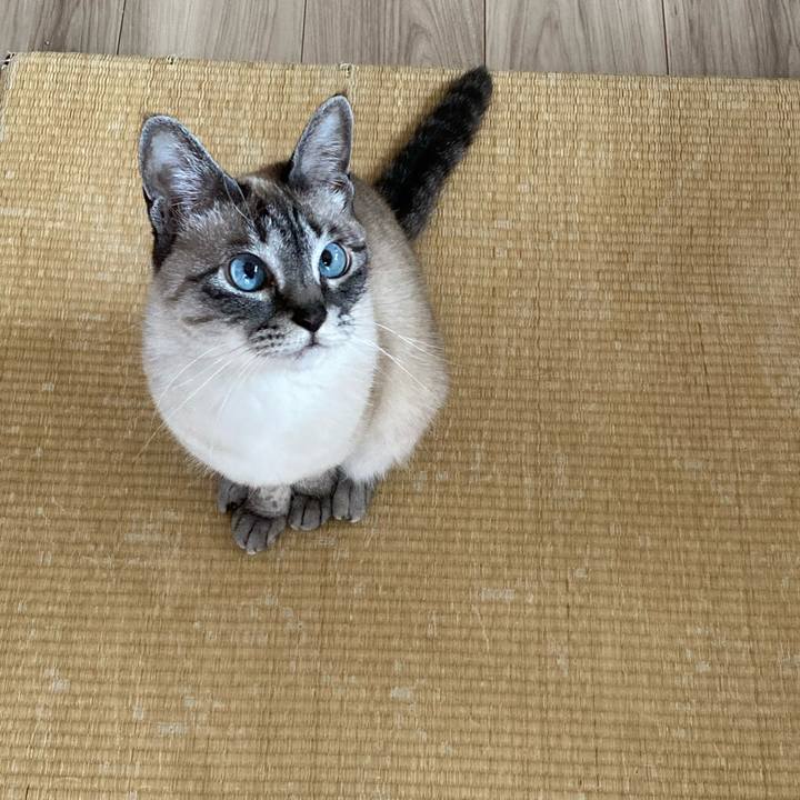 355b7a35 f677 455e b76e a48d302174a7 1682899905354