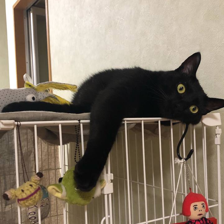 355bbea8 27aa 4b75 bad8 591affe9a534 1561123503208