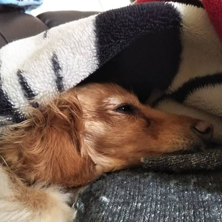 355bd2ff adb7 45e8 8e27 8466f93d73c2 1584687698401