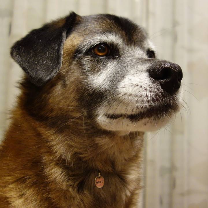 355bec0b fade 4aa2 a895 4e93f0c50c76 1622771834806