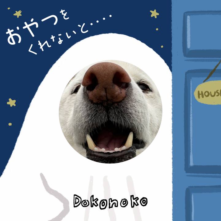 355c0d3f 2867 4469 9e0d fe184530c413 1729075363799