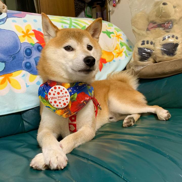 355c166e baed 47a8 add9 016599264f79 1631963389988