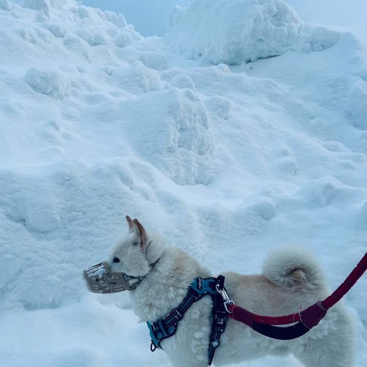 355c24cd ac49 45bc a753 05d0d4895932 1738884456443