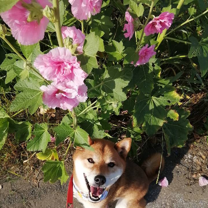 355c36c7 60b4 422a 91e6 4bc913776026 1591085881800