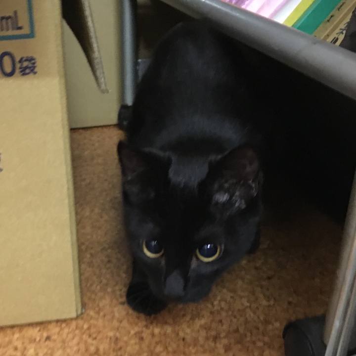 355c5089 cbaa 489f 9c00 f62fe5eefc4b 1547024772291