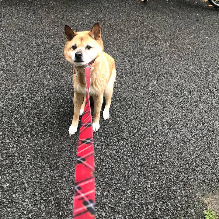 355c7944 92d5 4b38 b44f cc6d2c3b4e93 1521671951637