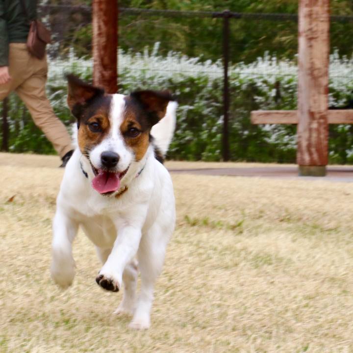 355cc0f5 5650 486d 9ac5 86a9c60044d3 1553321577897