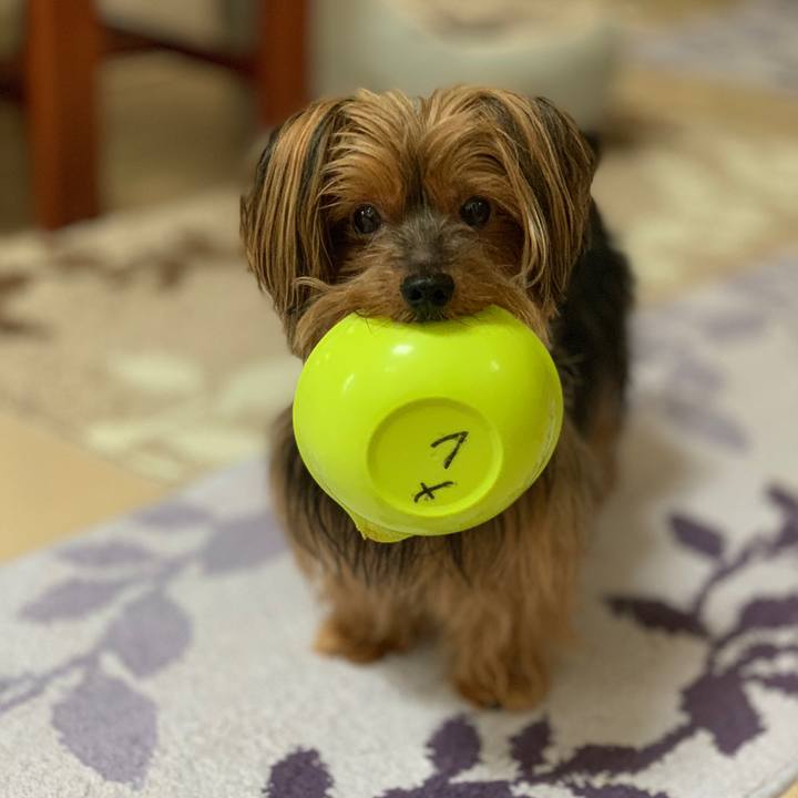 355d08f2 95b4 4249 bdc2 b65ad2bd3ad8 1538178148765